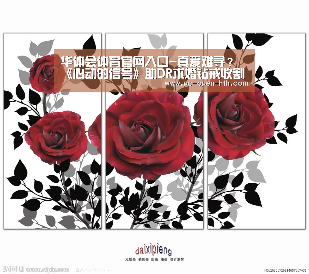 华体会体育官网入口