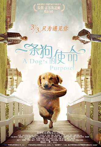 使命感是青春类型电影的重要维度“华体会体育官方平台”(图1) 华体会体育官方平台