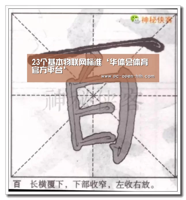 华体会体育APP下载官网